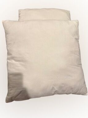 Pottery Barn 18x18 pillow inserts - 2